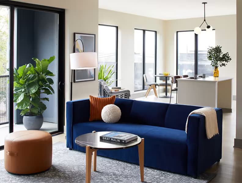 Designer Furnished Options